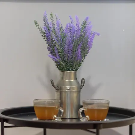 Poluotok 1 아파트 자다르